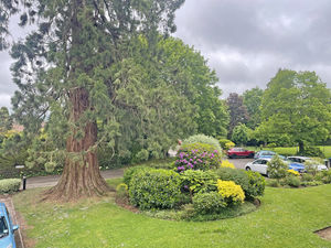 Photo 1- click for photo gallery